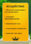 Экстракт для ванн хвойный с эвкалиптом. 1л. - 5