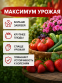 Удобрение Кристалон Красный 12-12-36, 500 г, - 5